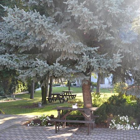 Pokoje Kalisz المظهر الخارجي الصورة