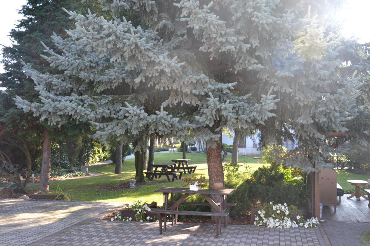Pokoje Kalisz المظهر الخارجي الصورة